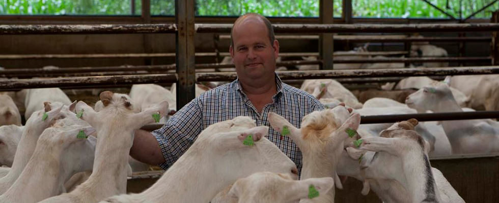 Geitenhouderij Familie Schippers